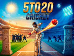 Mäng 5TO20 Cricket