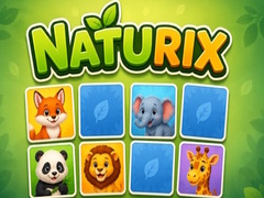 Mäng Naturix