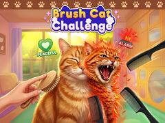 Mäng Brush Cat Challenge 