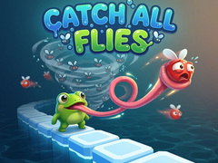 Mäng Catch All Flies