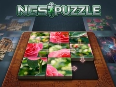 Mäng NGS Puzzle