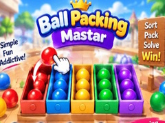 Mäng Packing Master Puzzle