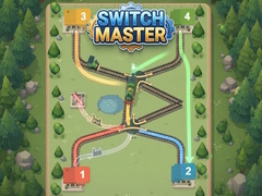 Mäng Switch Master