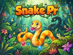 Mäng Snake Pr