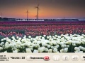Mäng Windflowers Find Numbers