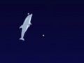 Mäng Dolphin Olympics