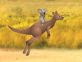 Mäng Outback Winds