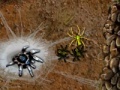 Mäng Arachnid Wars