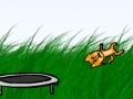 Mäng Kitten Cannon