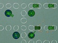 Mäng Tank Invasion